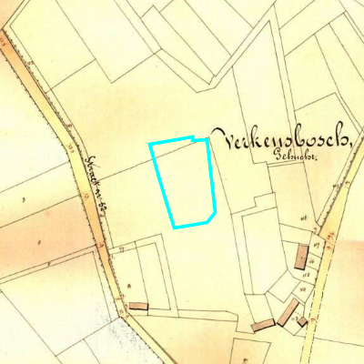 Algemeen Bodemgebruik (ABW)