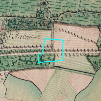 Ferraris (1771-1778)
