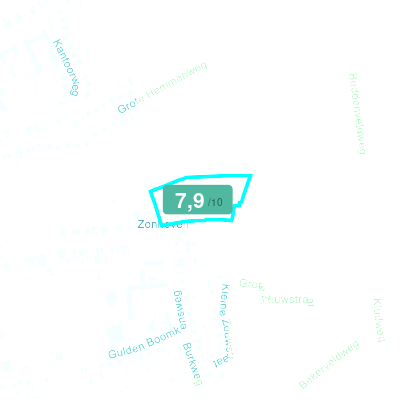 Mobiscore