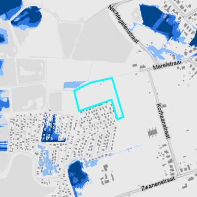 Overstromingsgevoelig (pluviaal)