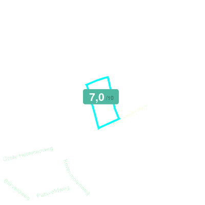 Mobiscore