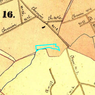 Algemeen Bodemgebruik (ABW)