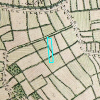 Ferraris (1771-1778)