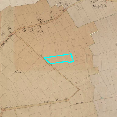 Algemeen Bodemgebruik (ABW)