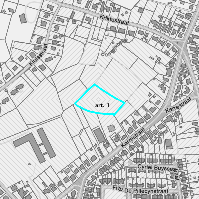 Ruimtelijke uitvoeringsplannen (RUP)