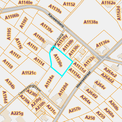 CADGIS