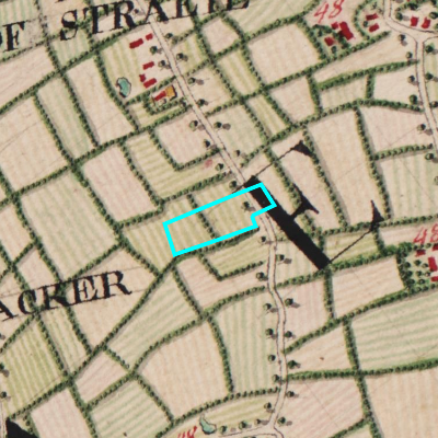 Ferraris (1771-1778)