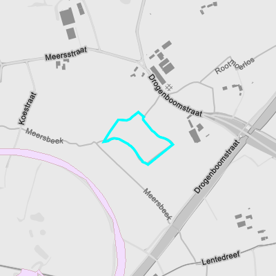 Recht van voorkoop