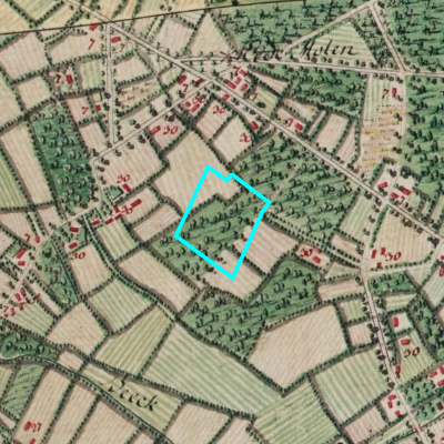 Ferraris (1771-1778)