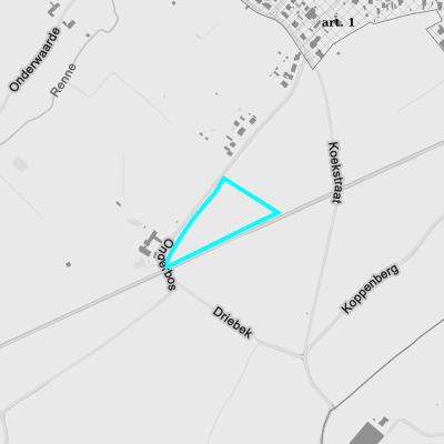 Ruimtelijke uitvoeringsplannen (RUP)
