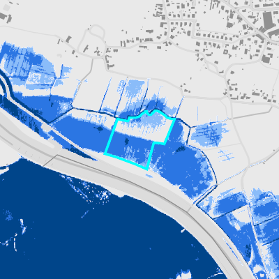 Overstromingsgevoelig (fluviaal)