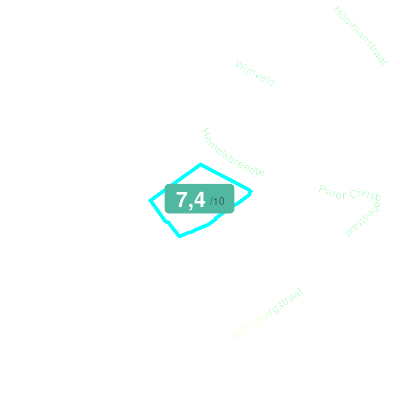 Mobiscore