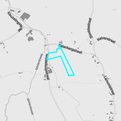 Overstromingsgevoelig (fluviaal)