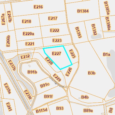 CADGIS