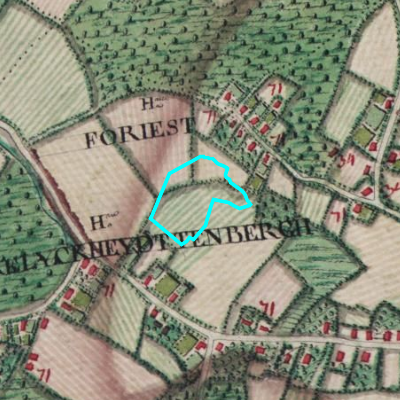 Ferraris (1771-1778)