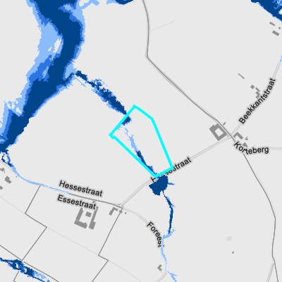 Overstromingsgevoelig (pluviaal)