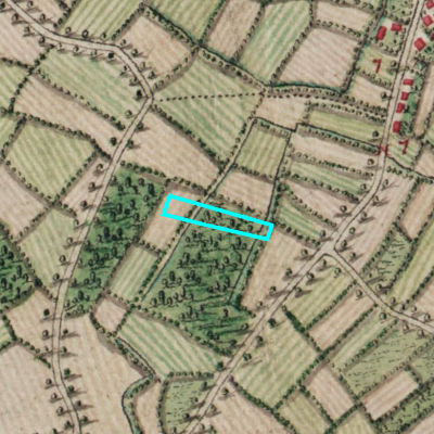 Ferraris (1771-1778)
