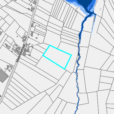 Overstromingsgevoelig (fluviaal)