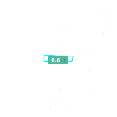 Mobiscore