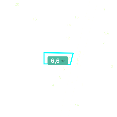 Mobiscore
