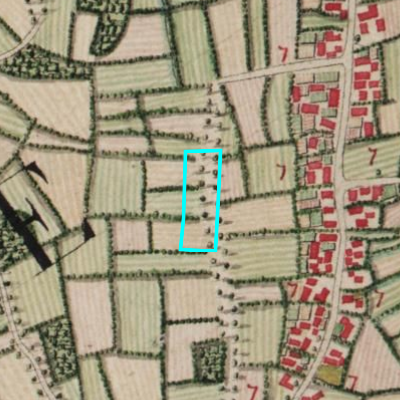 Ferraris (1771-1778)