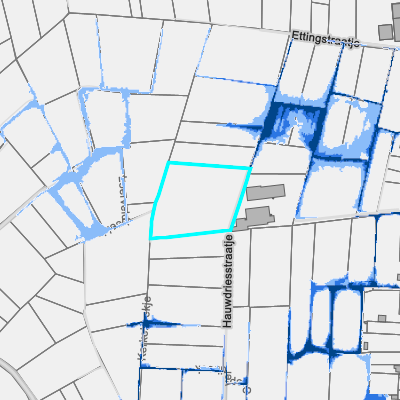 Overstromingsgevoelig (pluviaal)
