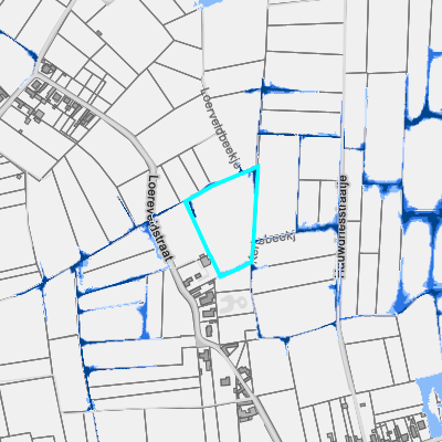 Overstromingsgevoelig (pluviaal)