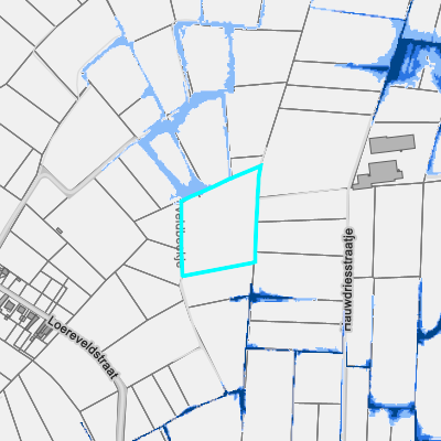 Overstromingsgevoelig (pluviaal)