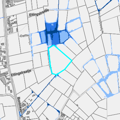 Overstromingsgevoelig (pluviaal)
