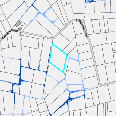 Overstromingsgevoelig (pluviaal)