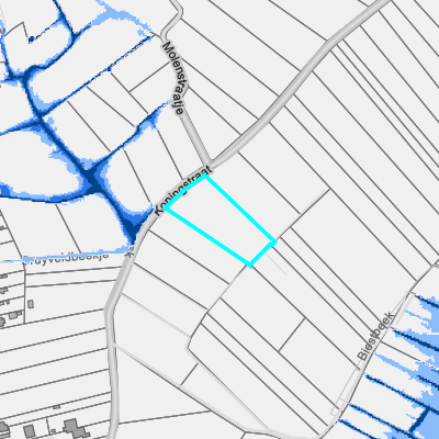 Overstromingsgevoelig (pluviaal)