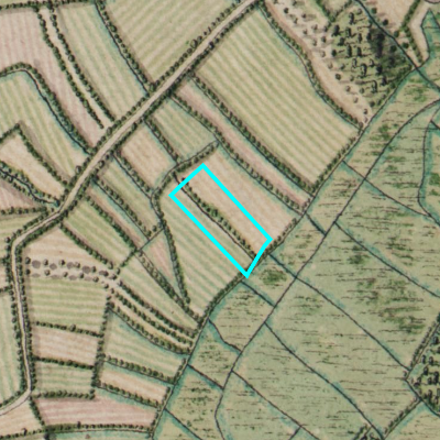 Ferraris (1771-1778)