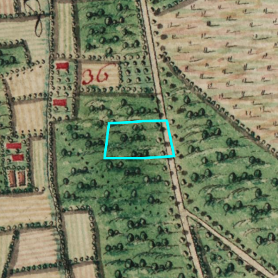 Ferraris (1771-1778)