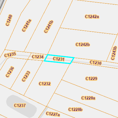 CADGIS