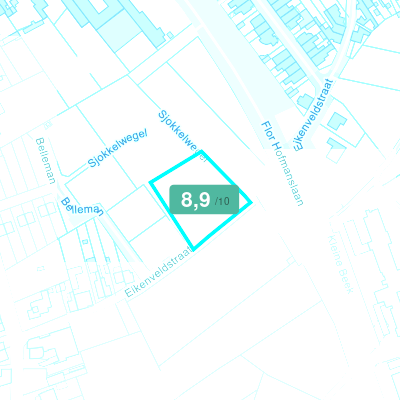 Mobiscore