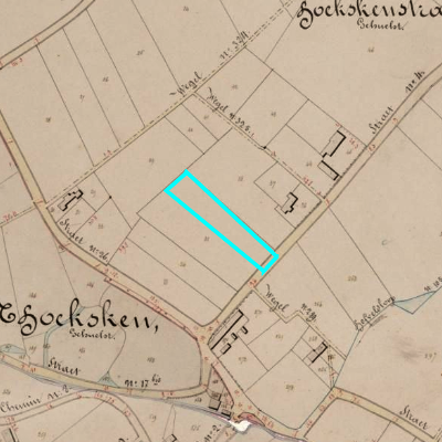 Algemeen Bodemgebruik (ABW)