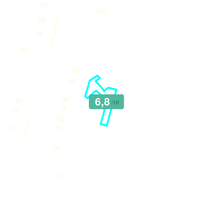 Mobiscore