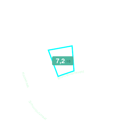 Mobiscore