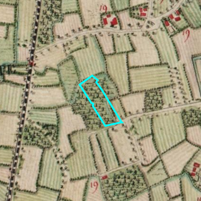 Ferraris (1771-1778)