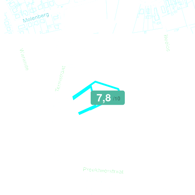 Mobiscore