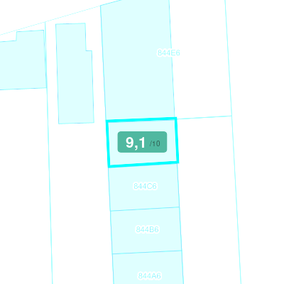 Mobiscore