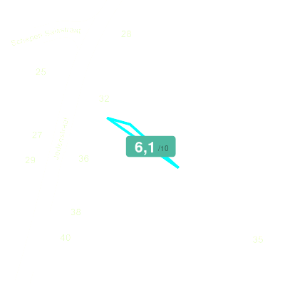 Mobiscore