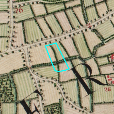 Ferraris (1771-1778)