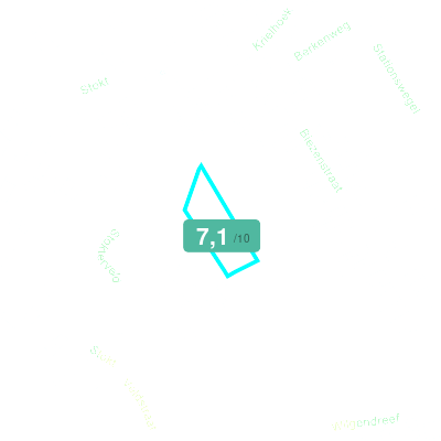 Mobiscore