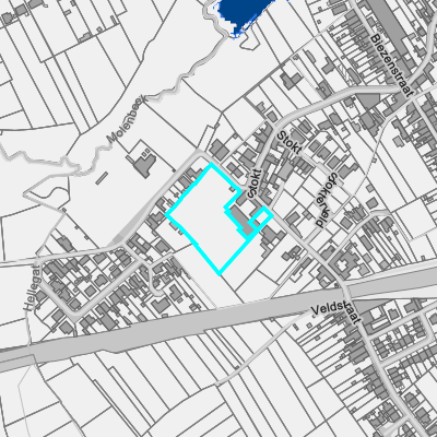 Overstromingsgevoelig (fluviaal)