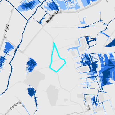 Overstromingsgevoelig (pluviaal)