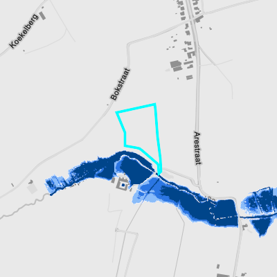 Overstromingsgevoelig (fluviaal)
