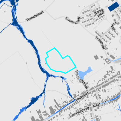 Overstromingsgevoelig (pluviaal)