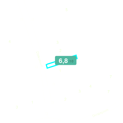Mobiscore