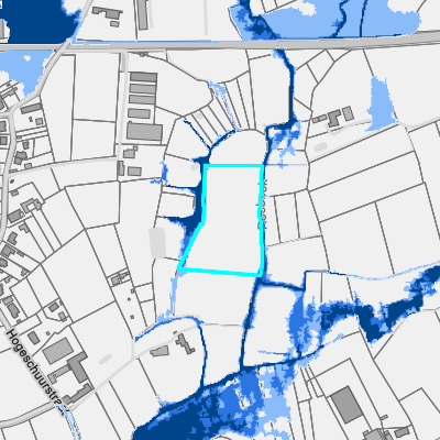 Overstromingsgevoelig (pluviaal)